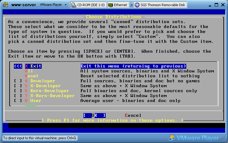 vm-server